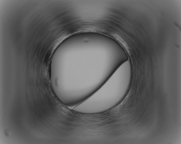 X0000092241481200709140953