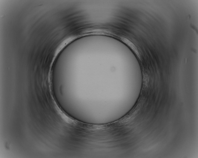 X0000092241482200709140953