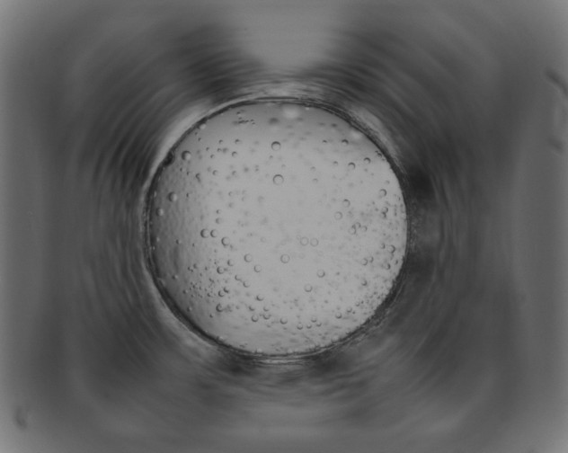 X0000092241483200709140953