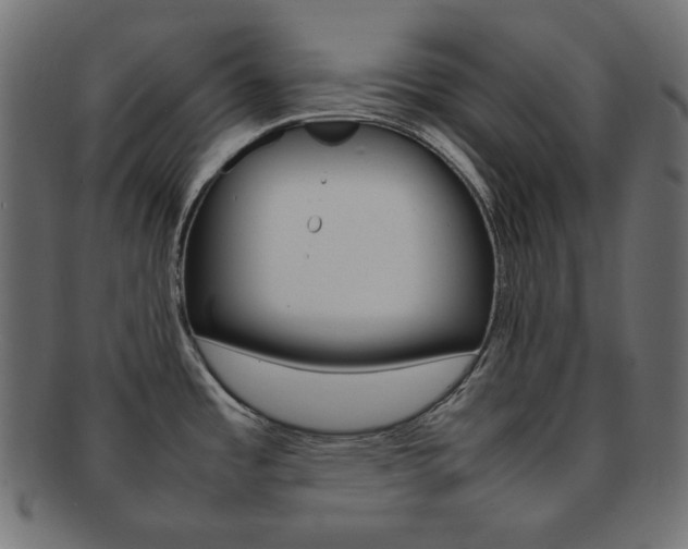 X0000092241485200709140953