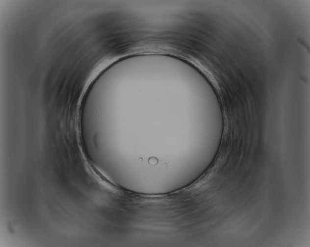 X0000092241486200709140953