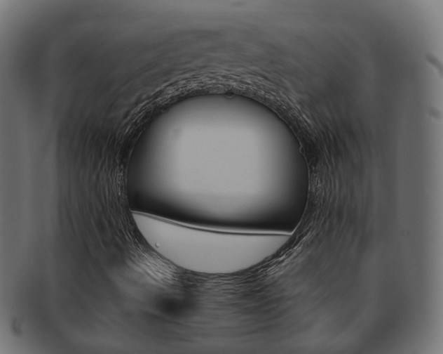 X0000092241490200709140952