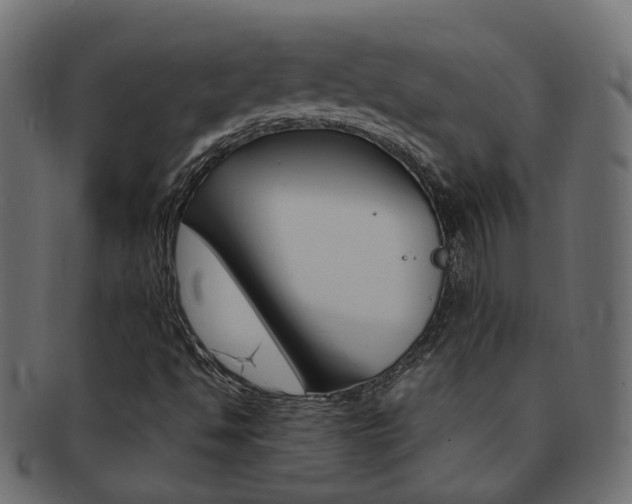 X0000092241494200709140952