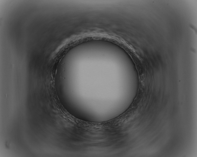 X0000092241495200709140952