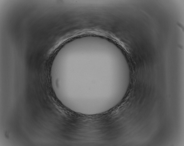 X0000092241496200709140952