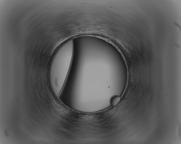 X0000092241497200709140952