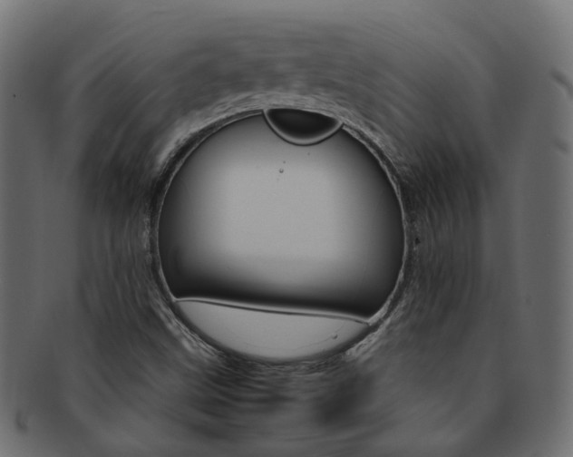 X0000092241499200709140952