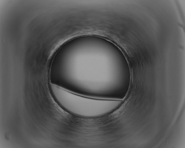 X0000092241500200709140952