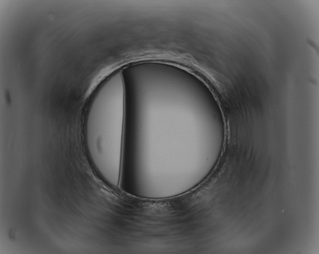 X0000092241501200709140953