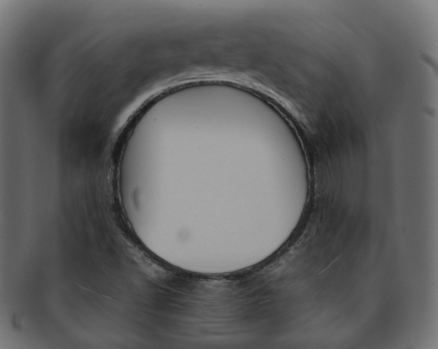 X0000092241502200709140953