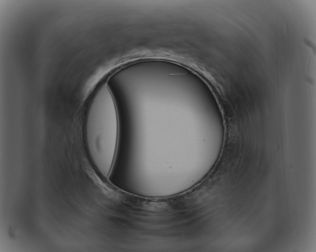 X0000092241503200709140953
