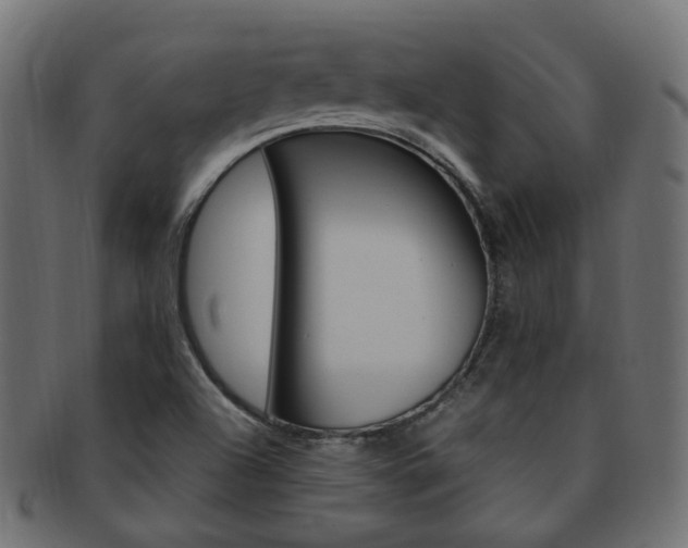 X0000092241504200709140953