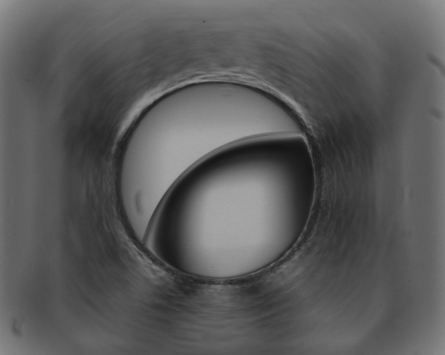 X0000092241506200709140953