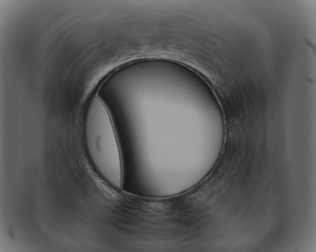 X0000092241507200709140953