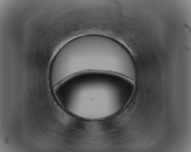 X0000092241508200709140953