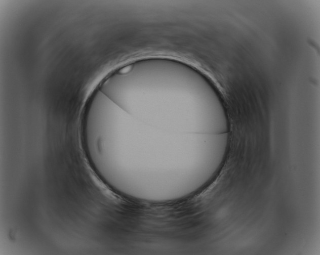 X0000092241511200709140953