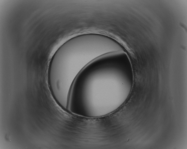 X0000092241512200709140953