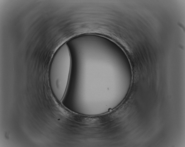 X0000092241513200709140953