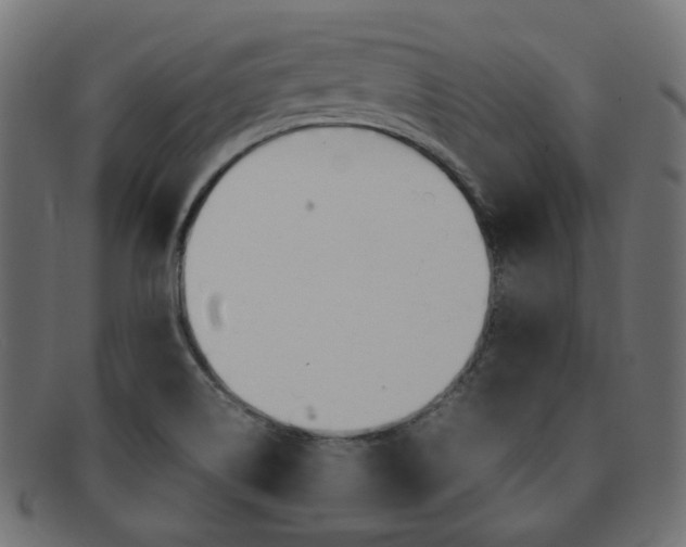 X0000092241514200709140953