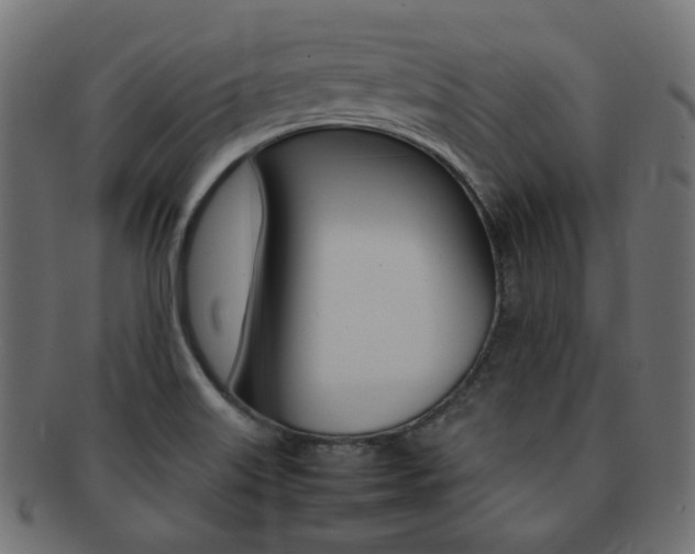 X0000092241515200709140953