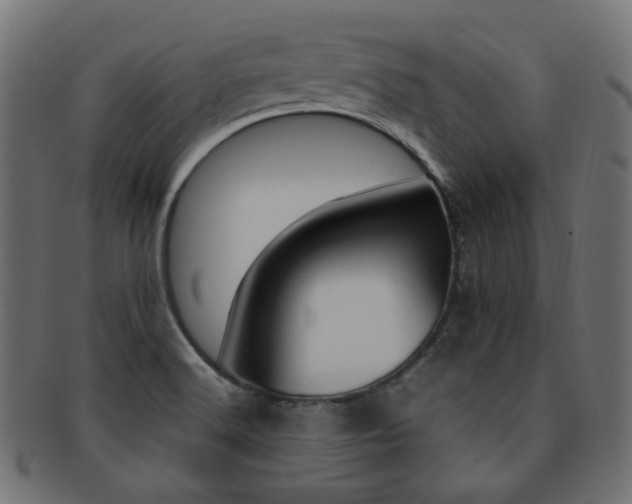 X0000092241516200709140953