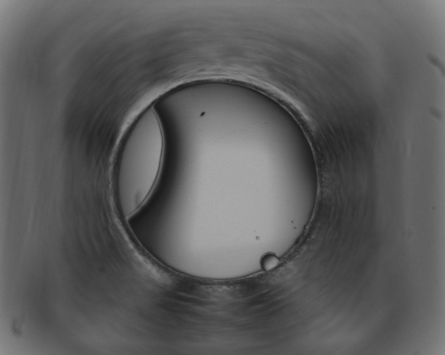 X0000092241517200709140953