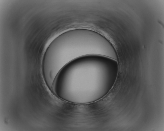 X0000092241520200709140953