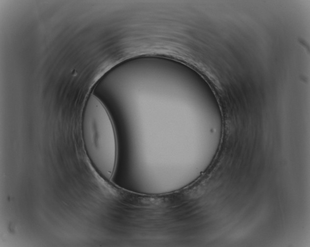 X0000092241521200709140953