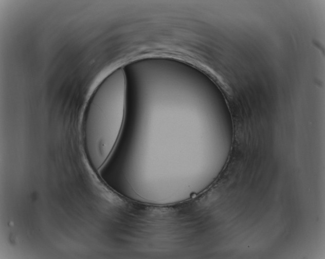 X0000092241522200709140953
