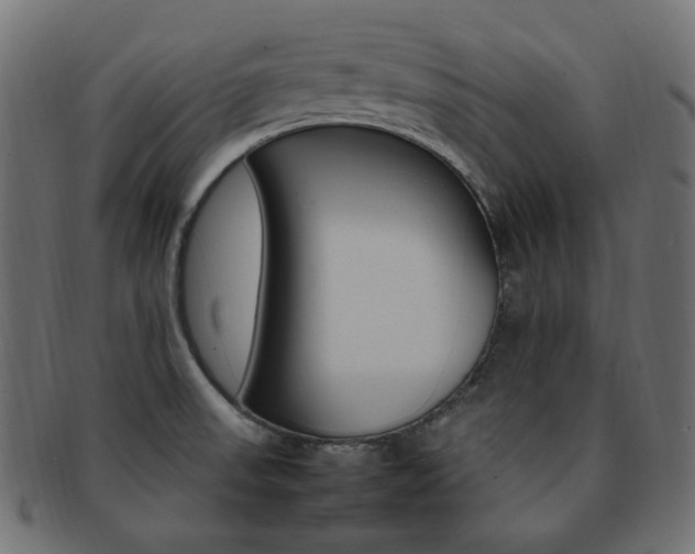X0000092241523200709140953