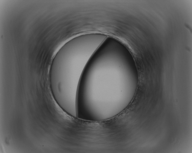 X0000092241524200709140953