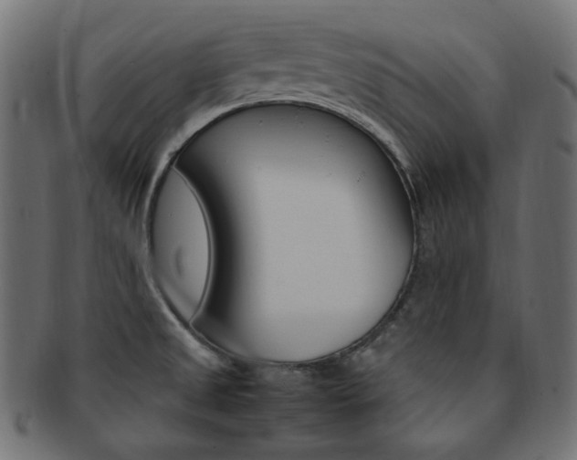 X0000092241525200709140953