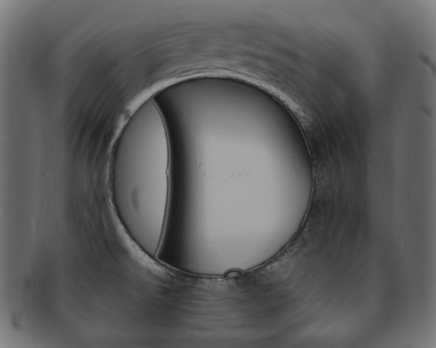 X0000092241526200709140953