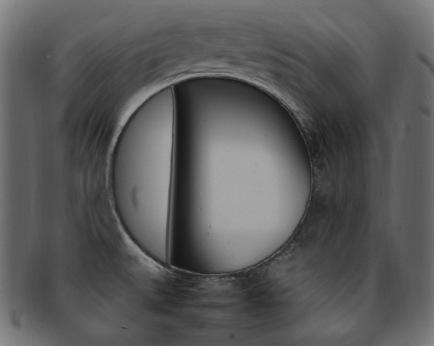 X0000092241527200709140953