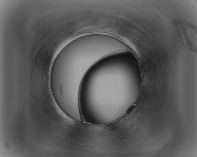 X0000092241528200709140953