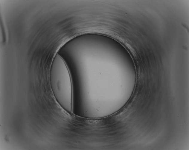 X0000092241529200709140953