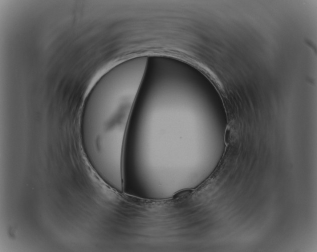 X0000092241530200709140953