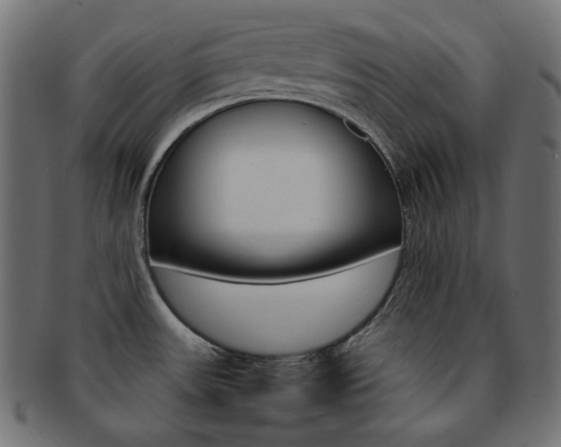 X0000092241531200709140953