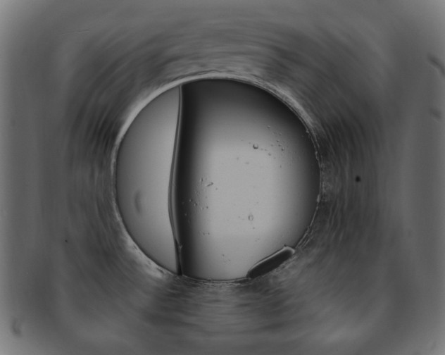 X0000092241532200709140953