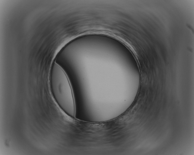 X0000092241533200709140953