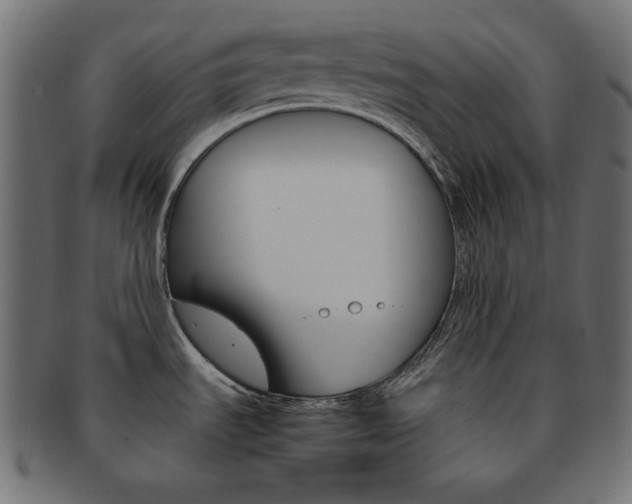 X0000092241535200709140953