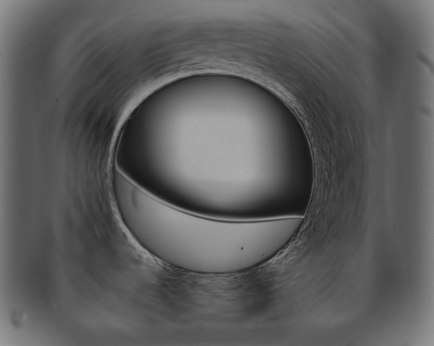 X0000092241536200709140953