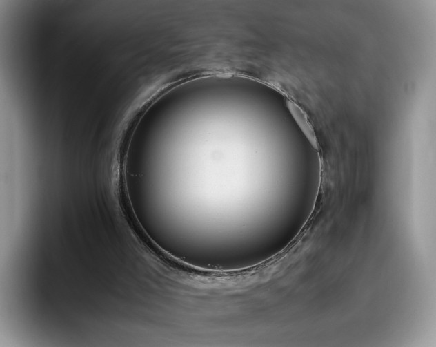 X0000092240005200709141132
