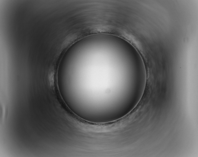 X0000092240010200709141132