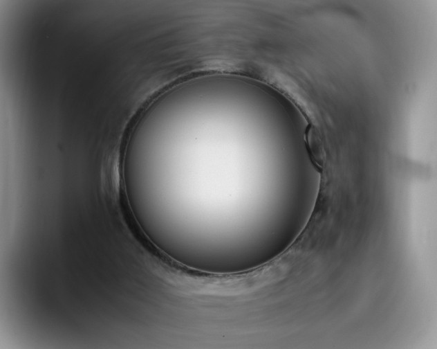 X0000092240011200709141132