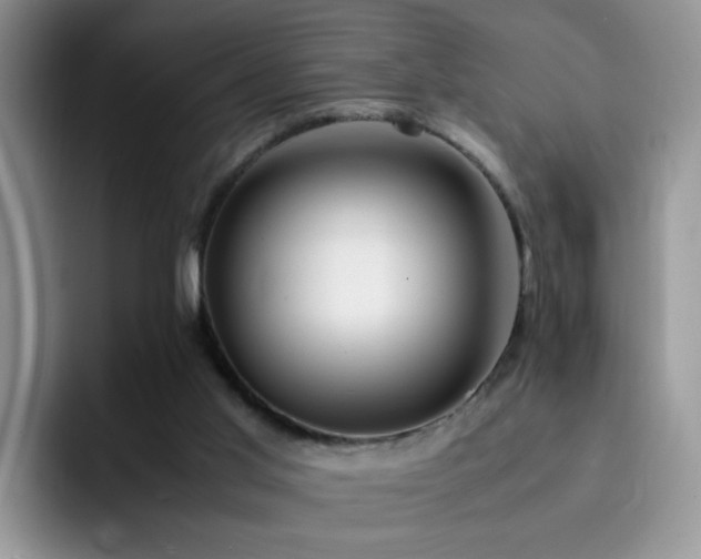 X0000092240013200709141132