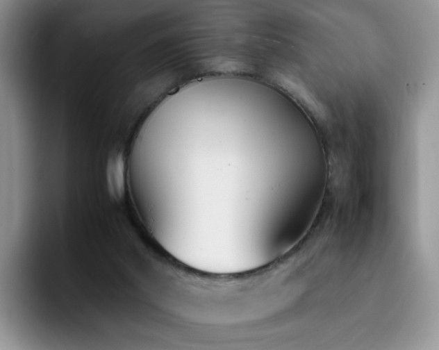 X0000092240014200709141132