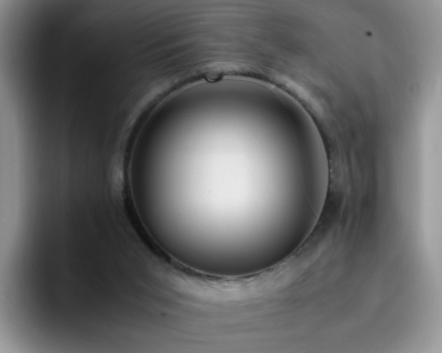 X0000092240015200709141132