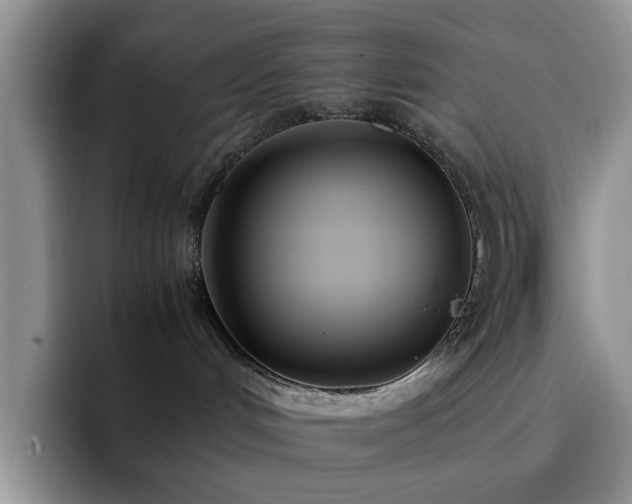 X0000092240048200709141131