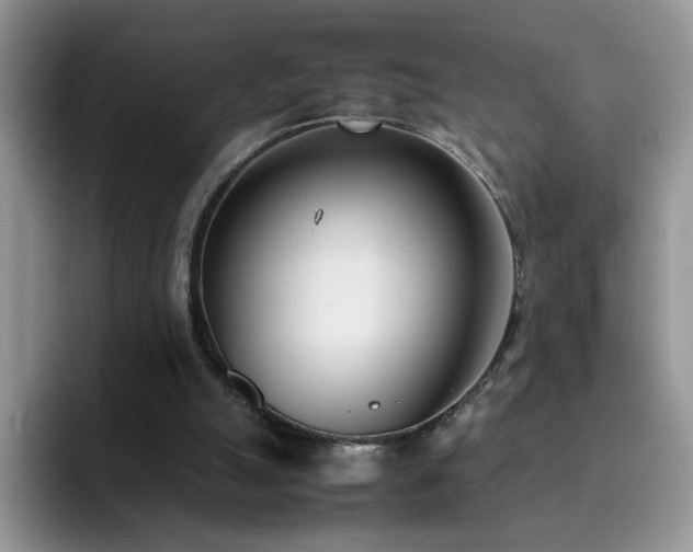 X0000092240055200709141131